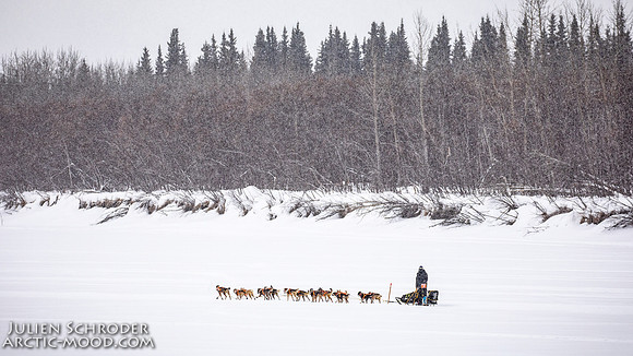 Rohn-Iditarod2019-JSchroder_20190305_D4_5037