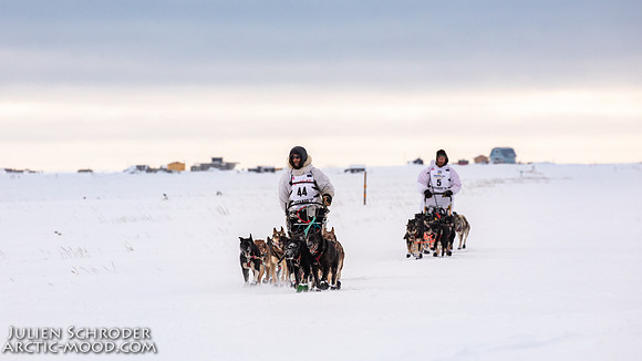 CapeNome-Iditarod2019-JSchroder_20190315_D4_8279
