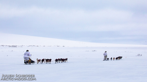 CapeNome-Iditarod2019-JSchroder_20190315_D4_8397
