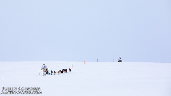 CapeNome-Iditarod2019-JSchroder_20190315_D4_8436