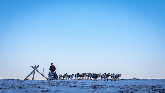 3_Mile101_YukonQuest2018_Eagle_summit_YukonQuest2018_13982_JSchroder-2