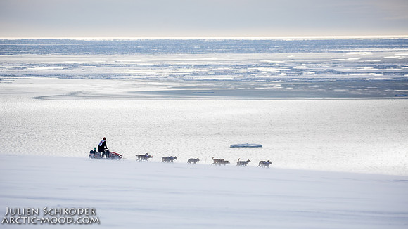 Nome-Iditarod2019-JSchroder_20190313_D4_7355