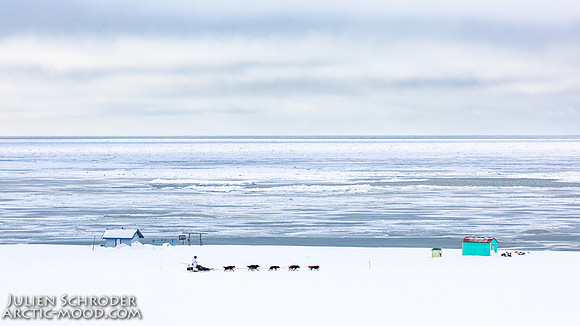 CapeNome-Iditarod2019-JSchroder_20190315_D4_8485