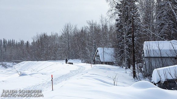 McGrath-Iditarod2019-JSchroder_20190306_D4_5185