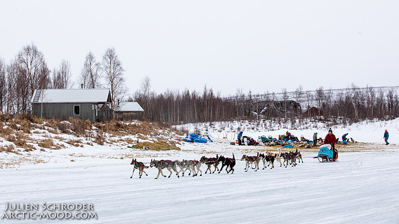 iditarod-Iditarod2019-JSchroder_20190309_D4_6402