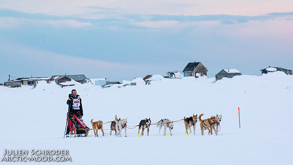Nome-Iditarod2019-JSchroder_20190313_D4_8076