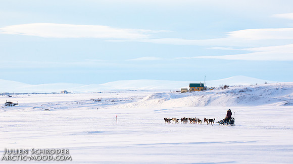 Nome-Iditarod2019-JSchroder_20190313_D4_7884