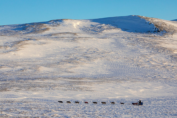 3_Mile101_YukonQuest2018_Eagle_summit_YukonQuest2018_14496_JSchroder-2
