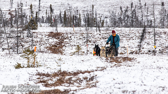 iditarod-Iditarod2019-JSchroder_20190307_D4_5734