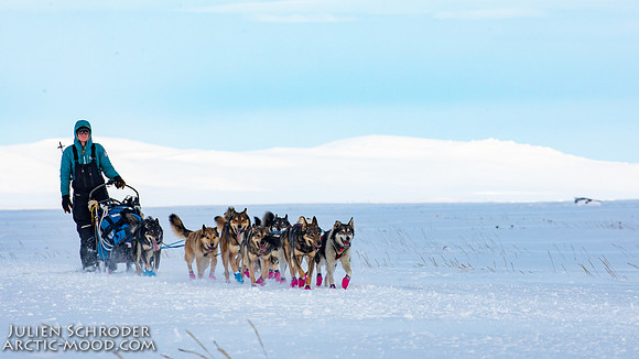 Nome-Iditarod2019-JSchroder_20190313_D4_7637