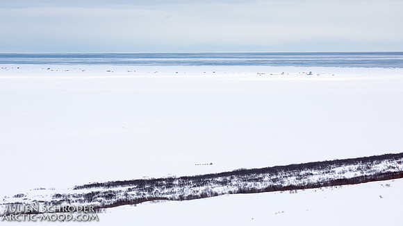 Nome-Iditarod2019-JSchroder_20190313_D4_7170