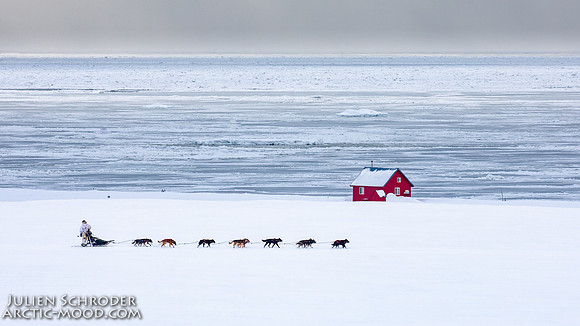 CapeNome-Iditarod2019-JSchroder_20190315_D4_8482