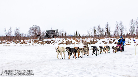 iditarod-Iditarod2019-JSchroder_20190309_D4_6302