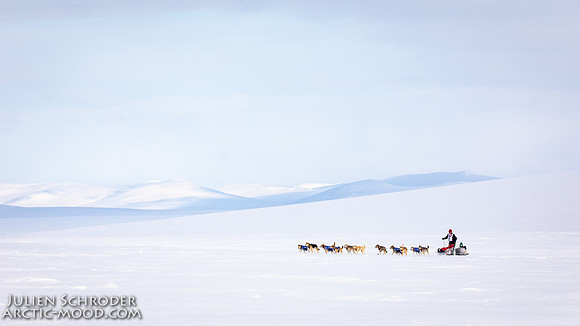 Nome-Iditarod2019-JSchroder_20190313_D4_7286