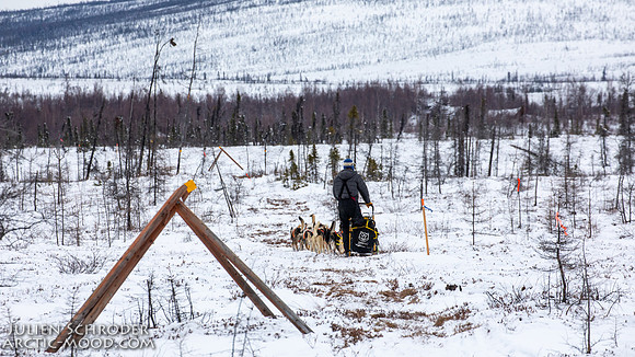 untitled-Iditarod2019-JSchroder_20190307_D4_5709