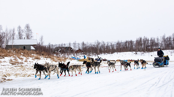 iditarod-Iditarod2019-JSchroder_20190309_D4_6422