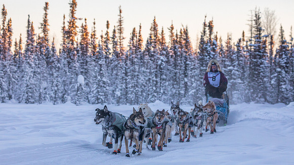 2_Two Rivers_YukonQuest2018_untitled_YukonQuest2018_13742_JSchroder-2