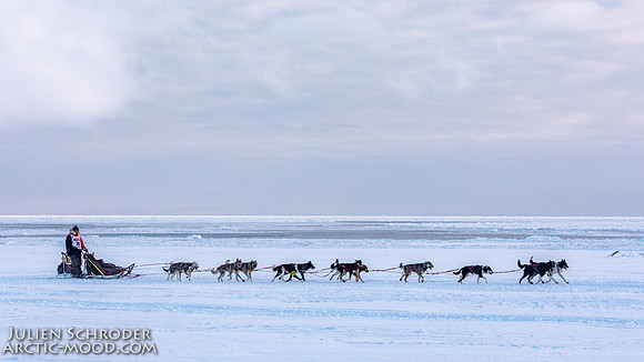 CapeNome-Iditarod2019-JSchroder_20190315_D4_8862