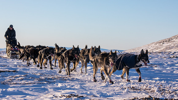 3_Mile101_YukonQuest2018_Eagle_summit_YukonQuest2018_14431_JSchroder-2