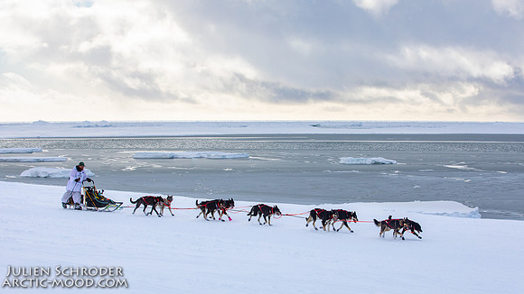 CapeNome-Iditarod2019-JSchroder_20190315_D4_8642