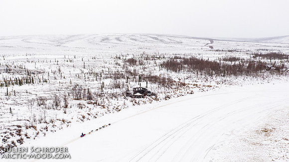 Iditarod-Iditarod2019-JSchroder_20190308DJI_0834