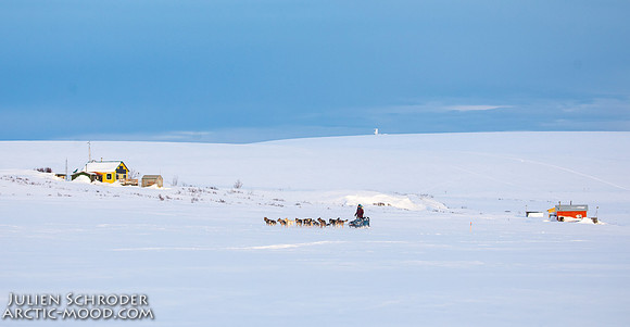 Nome-Iditarod2019-JSchroder_20190313_D4_7915