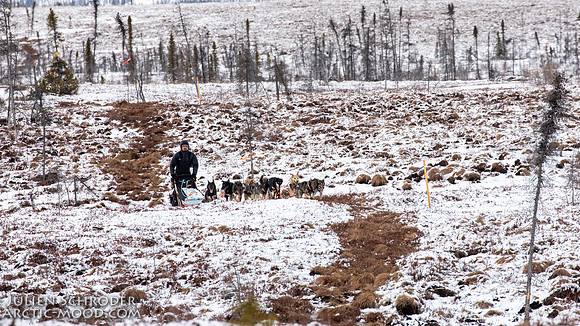 iditarod-Iditarod2019-JSchroder_20190307_D4_5869