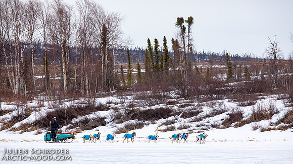 iditarod-Iditarod2019-JSchroder_20190309_D4_6219