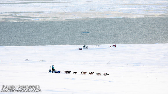 Nome-Iditarod2019-JSchroder_20190313_D4_7850