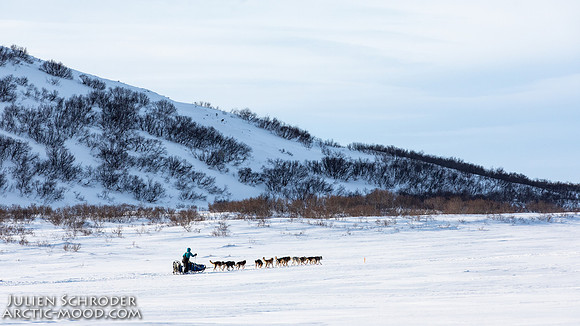 Nome-Iditarod2019-JSchroder_20190313_D4_7735