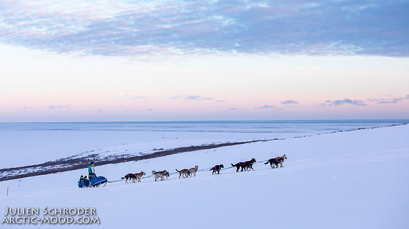 CapeNome-Iditarod2019-JSchroder_20190315_D4_9051