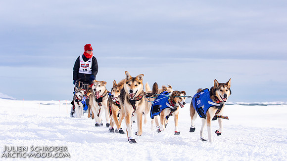 Nome-Iditarod2019-JSchroder_20190313_D4_7601