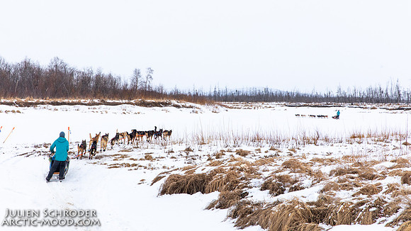 Iditarod-Iditarod2019-JSchroder_20190308_D4_5995