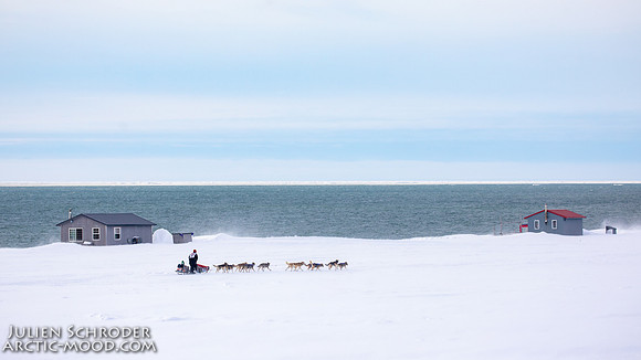 Nome-Iditarod2019-JSchroder_20190313_D4_7489