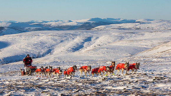 3_Mile101_YukonQuest2018_Eagle_summit_YukonQuest2018_14091_JSchroder-2