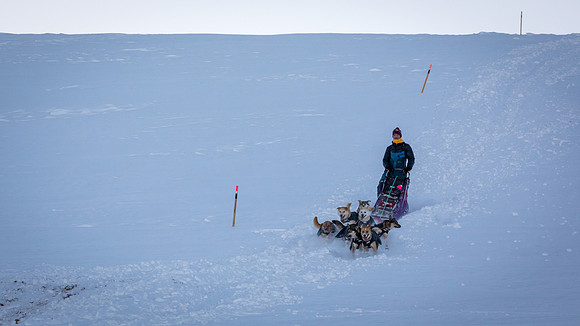 3_Mile101_YukonQuest2018_Eagle_summit_YukonQuest2018_14131_JSchroder-2