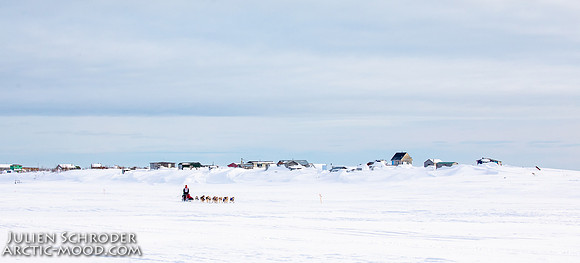 Nome-Iditarod2019-JSchroder_20190313_D4_7571