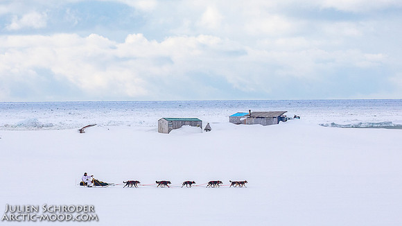 CapeNome-Iditarod2019-JSchroder_20190315_D4_8626