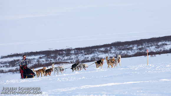 Nome-Iditarod2019-JSchroder_20190313_D4_7748