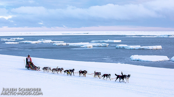 CapeNome-Iditarod2019-JSchroder_20190315_D4_9011