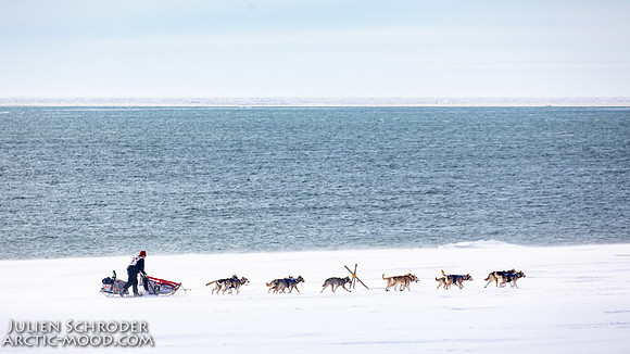 Nome-Iditarod2019-JSchroder_20190313_D4_7482