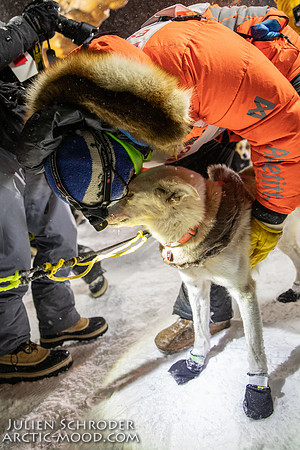 Nome-Iditarod2019-JSchroder_20190313IMG_4852