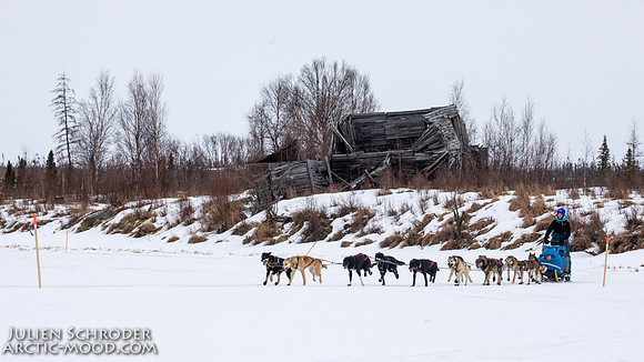 Iditarod-Iditarod2019-JSchroder_20190308_D4_6021