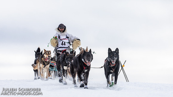 CapeNome-Iditarod2019-JSchroder_20190315_D4_8605