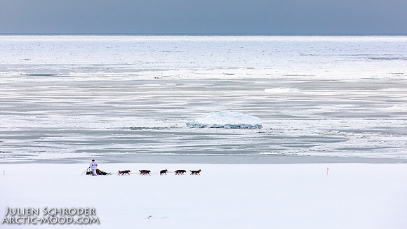 CapeNome-Iditarod2019-JSchroder_20190315_D4_8493