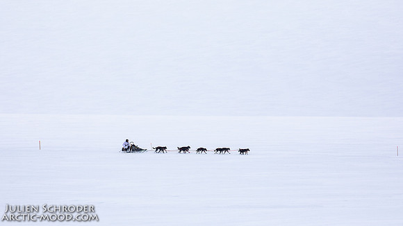 CapeNome-Iditarod2019-JSchroder_20190315_D4_8446