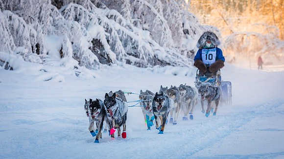 2_Two Rivers_YukonQuest2018_untitled_YukonQuest2018_13391_JSchroder-2