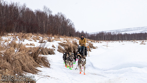 Iditarod-Iditarod2019-JSchroder_20190308_D4_6002