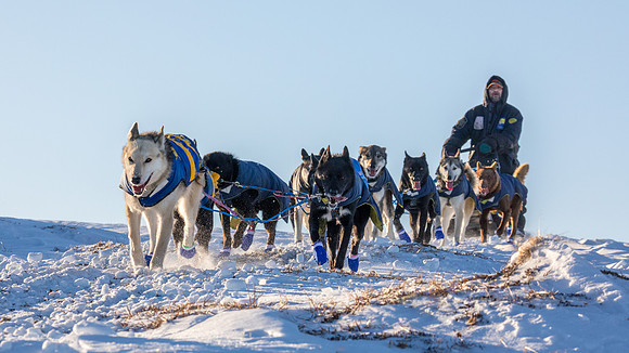 3_Mile101_YukonQuest2018_Eagle_summit_YukonQuest2018_14251_JSchroder-2