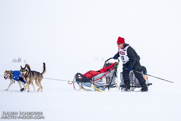 Nome-Iditarod2019-JSchroder_20190313_D4_7207